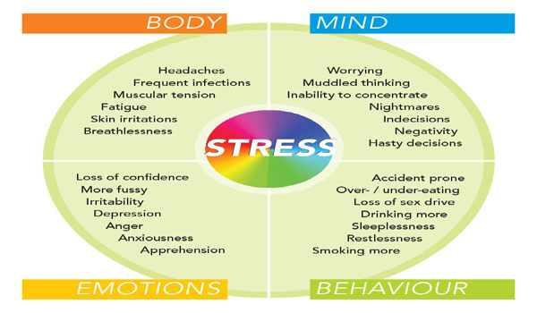 Four Types Of Stress You Have To Know About And How To